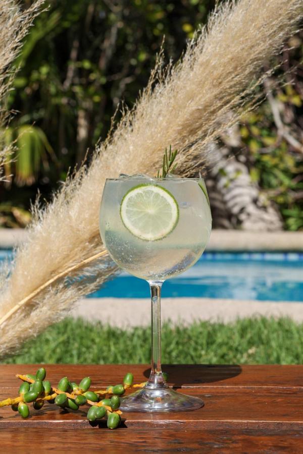 Tikay Suite Hotel Copiapo Ngoại thất bức ảnh