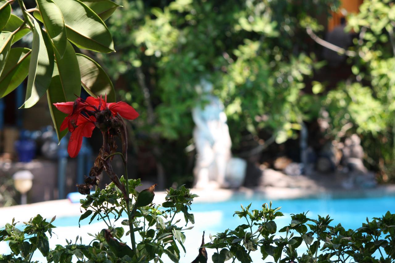 Tikay Suite Hotel Copiapo Ngoại thất bức ảnh