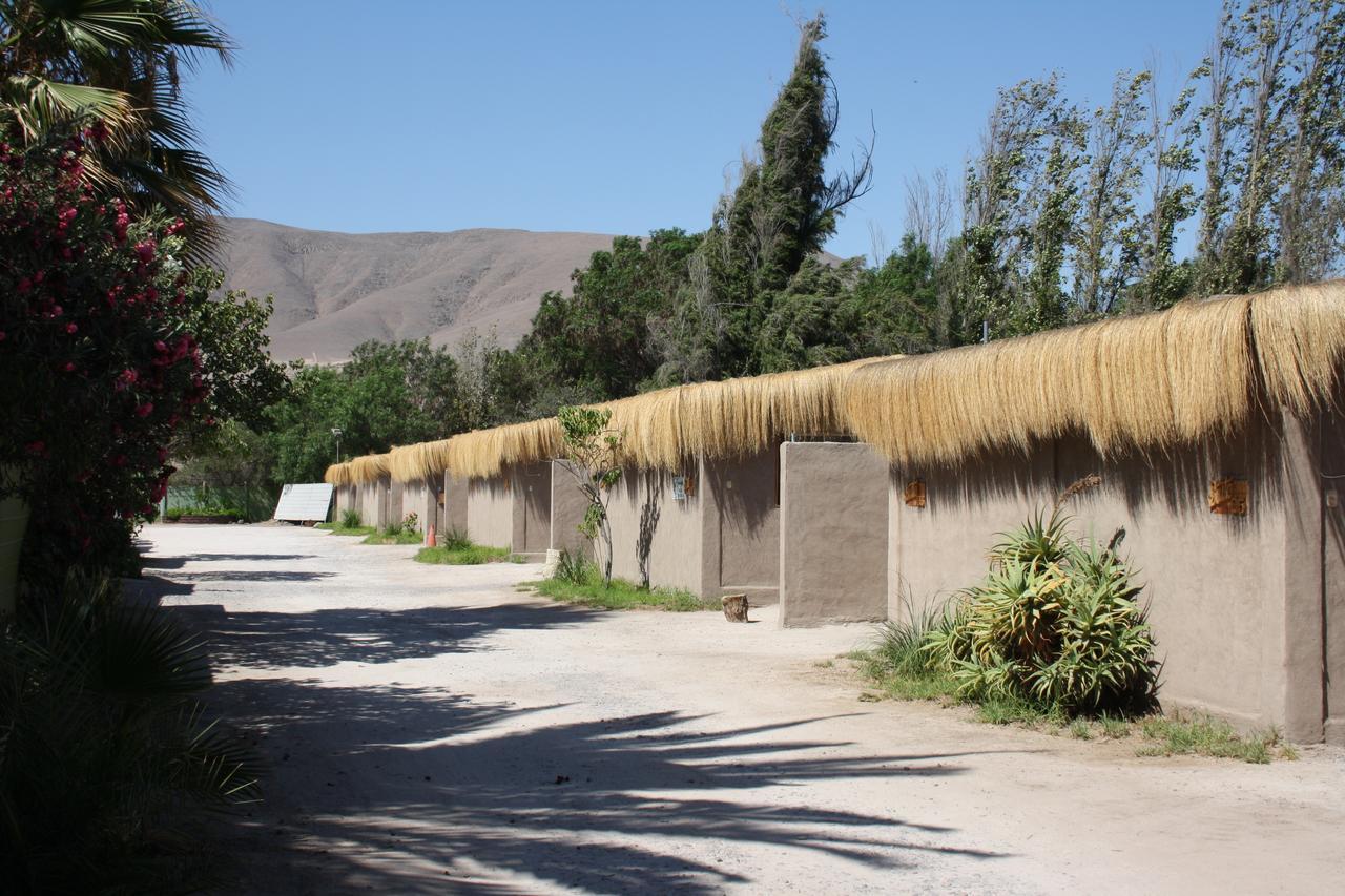Tikay Suite Hotel Copiapo Ngoại thất bức ảnh