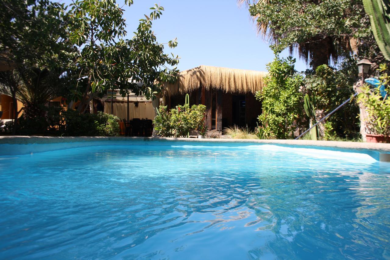Tikay Suite Hotel Copiapo Ngoại thất bức ảnh